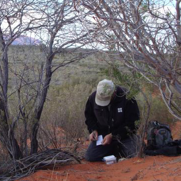 Mondo signing a log in the Australian outback